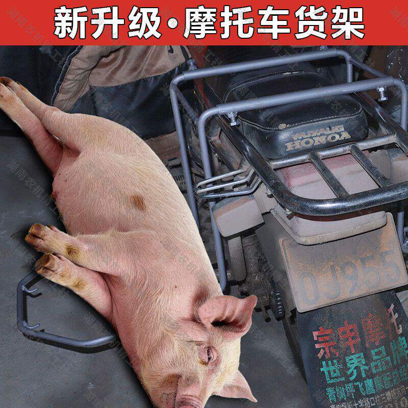新升级摩托车车架改装货
