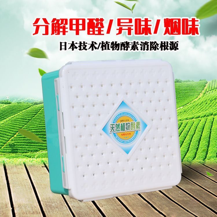 车载空气净化除异味植物