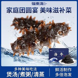 福东海海参50g干货正宗辽宁海参淡干海参煲汤非即食底播刺参煮汤
