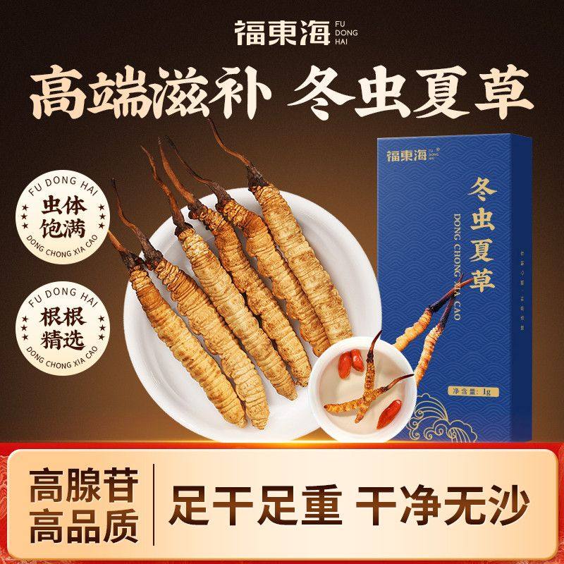 福东海冬虫夏草1g正宗青海头期干断草滋补送礼断虫草【高档送礼】