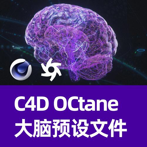 C4D大脑 头部 预设文件 C4D工程文件人体大脑模型文件【非实体】