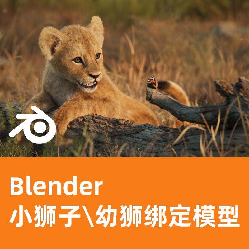 Blender小狮子 幼师模型Lion Cub Animated | VFX Grace