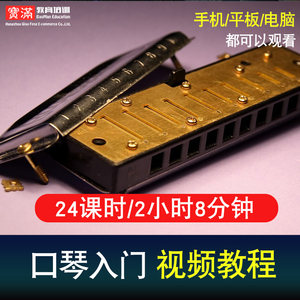 口琴自学入门十孔24孔教学布鲁斯口琴视频教