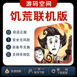 Don't Starve Together饥荒联机版ios兑换码游戏正版自己号非共享