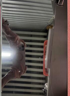 戴尔5630笔记本液晶屏幕B160QAN03.K NE160QDM-N41LP160WQ2-SPD1