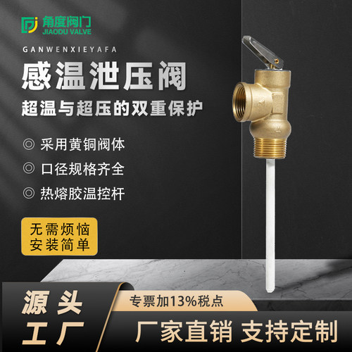 安全阀泄压阀TP阀PT阀