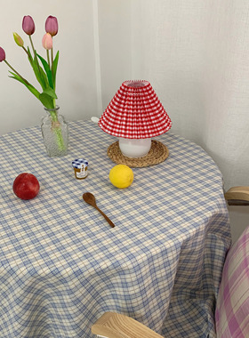 TJJ丨韩国ins蓝色格纹桌布背景布野餐布chic民宿家居装饰格子布