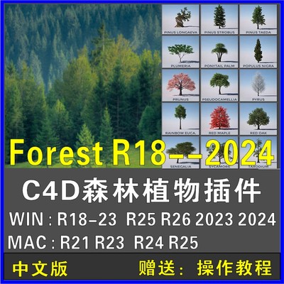 C4D森林植物插件Forester中文汉化素材库树木花草石头生成win/mac