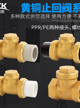 4分6分一寸全铜卧式止回阀20/25PPR活接水表单向阀自来水管配件PE
