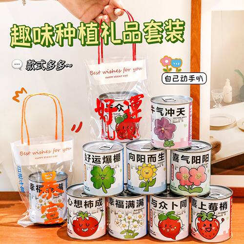 儿童种植小盆栽学生桌面罐头绿植幼儿园创意礼物奖品套装小礼品