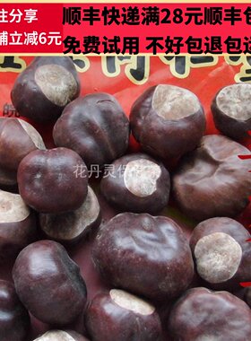 50克娑罗子中药材精选无硫