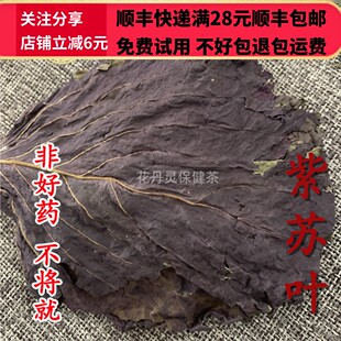 50g 紫苏叶   中药材 正品  精选 无硫 可打粉 满28包邮