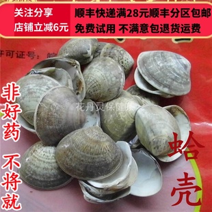 包邮 同仁堂 可打粉 蛤壳 满28 50g 同品质