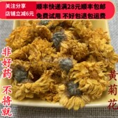 包邮 同德 50g 可打粉满28 同品质 黄菊花