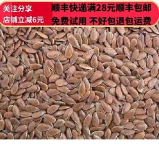 同德 同品质 中药材正品 胡麻仁 亚麻籽 50g 可打粉 满28元包邮