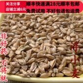 同品质 包邮 浮小麦 50g 同德 满28 无硫 可打粉