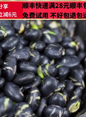 50g炒黑豆熟黑豆正品精选无硫