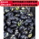 正品 同品质 同德 50g 中药材 熟黑豆 包邮 炒黑豆 可打粉满28元