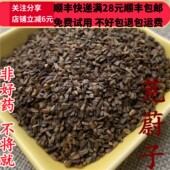 同品质 满28 茺蔚子 同德 无硫50g 可打粉 包邮