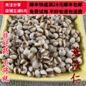 同品质 可打粉满28 薏苡仁 同德 薏米仁 50g 包邮
