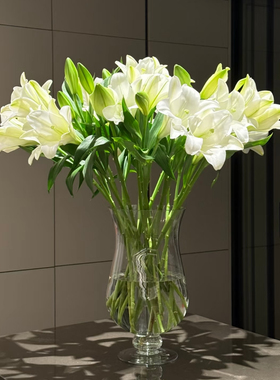 白色铁炮百合花鲜花云南基地直发水养插花期长鲜切花真花无香顺丰