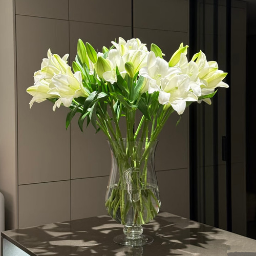 白色铁炮百合花鲜花云南基地直发水养插花期长鲜切花真花花卉顺丰
