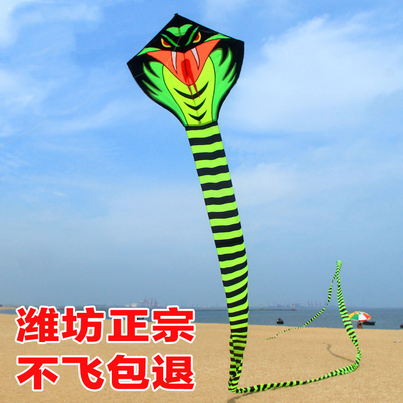 筝乐风筝儿童成人大型高档微风易飞大特大青蛇卡通初学者龙形风筝|msdalam kategori sukan/Yoga/kecergasan/bekalan peminat, Shuttlecock/Diabolo/pergerakan Rakyat, Kite, Kite - dari Buy2taobao.com untuk memberikan perkhidmatan ejen Taobao profesional membeli