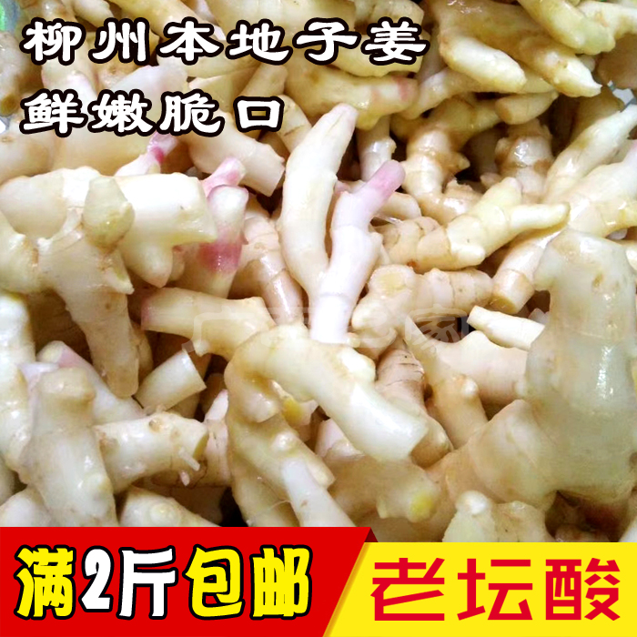 广西子姜酸 酸紫姜糖醋子姜新子姜腌制脆嫩极柠檬酸梅鸭500克包邮