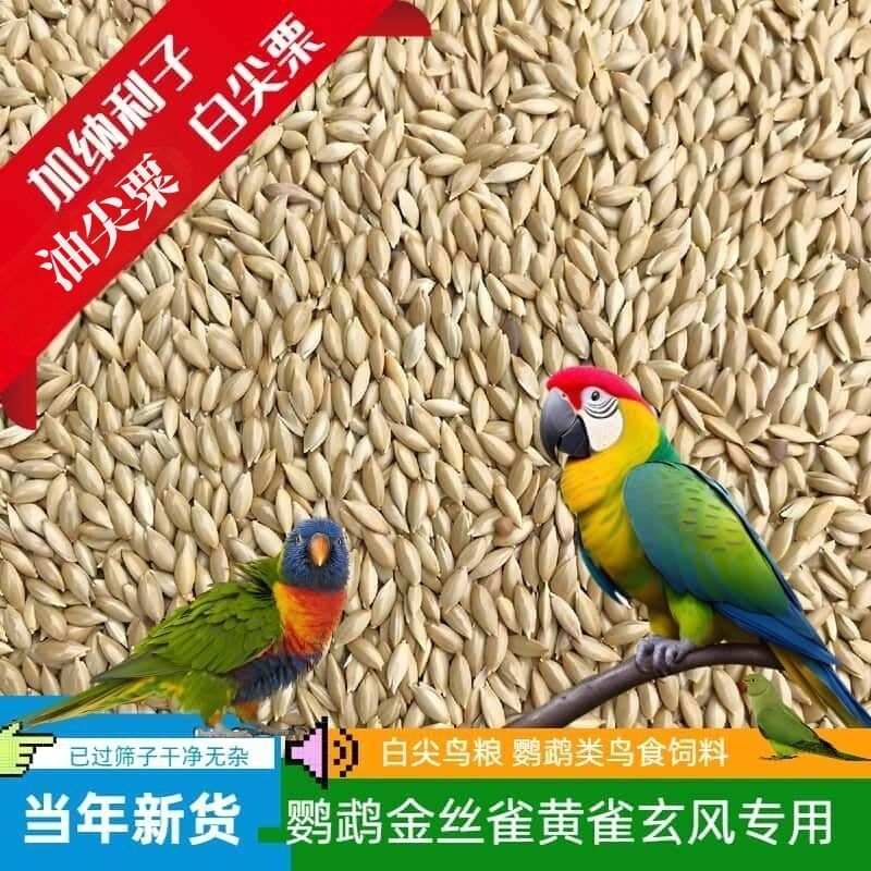 10斤新进口加纳利子白尖鸟鹦鹉粮50斤草庐籽白燕珍珠虎皮牡丹鸽粮