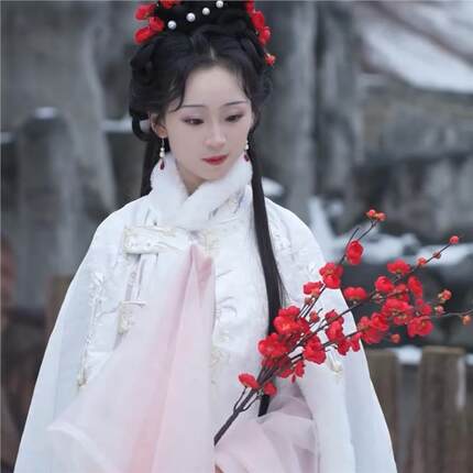 梅花真花枝舞蹈道具古风摄影拍照假花汉服手持中式家居装饰摆件