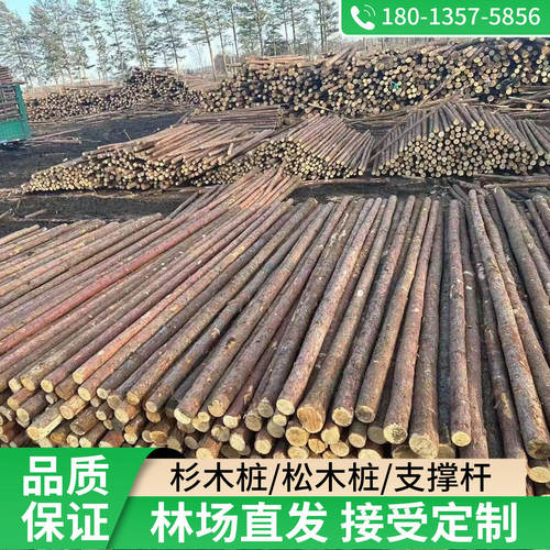 定制松木桩0.5米至10米免费削尖