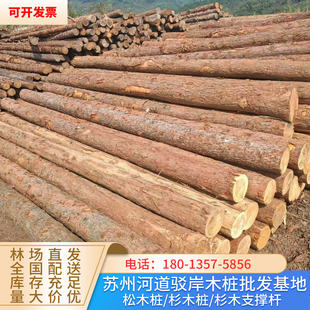 油松原木桩防洪防汛圆木桩河道堤坝加固落叶松打桩木带皮尖头木桩
