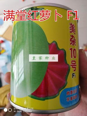 满堂红萝卜种子籽美杂10号青皮红瓤夏秋播种高产大田用种抗热包邮