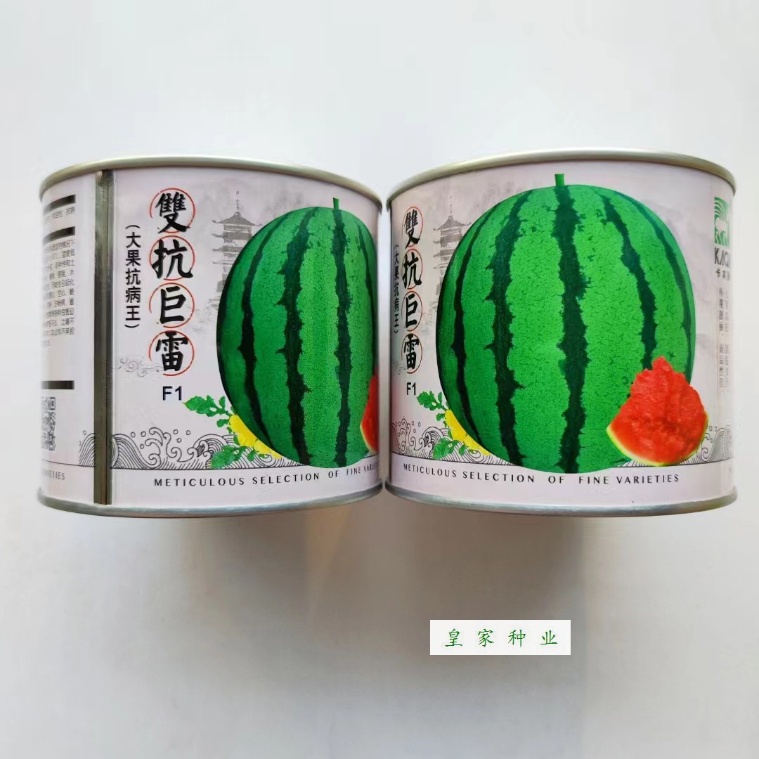 卡其双抗巨雷西瓜种子圆形瓜中早熟大果地雷西瓜种籽抗病薄皮耐裂