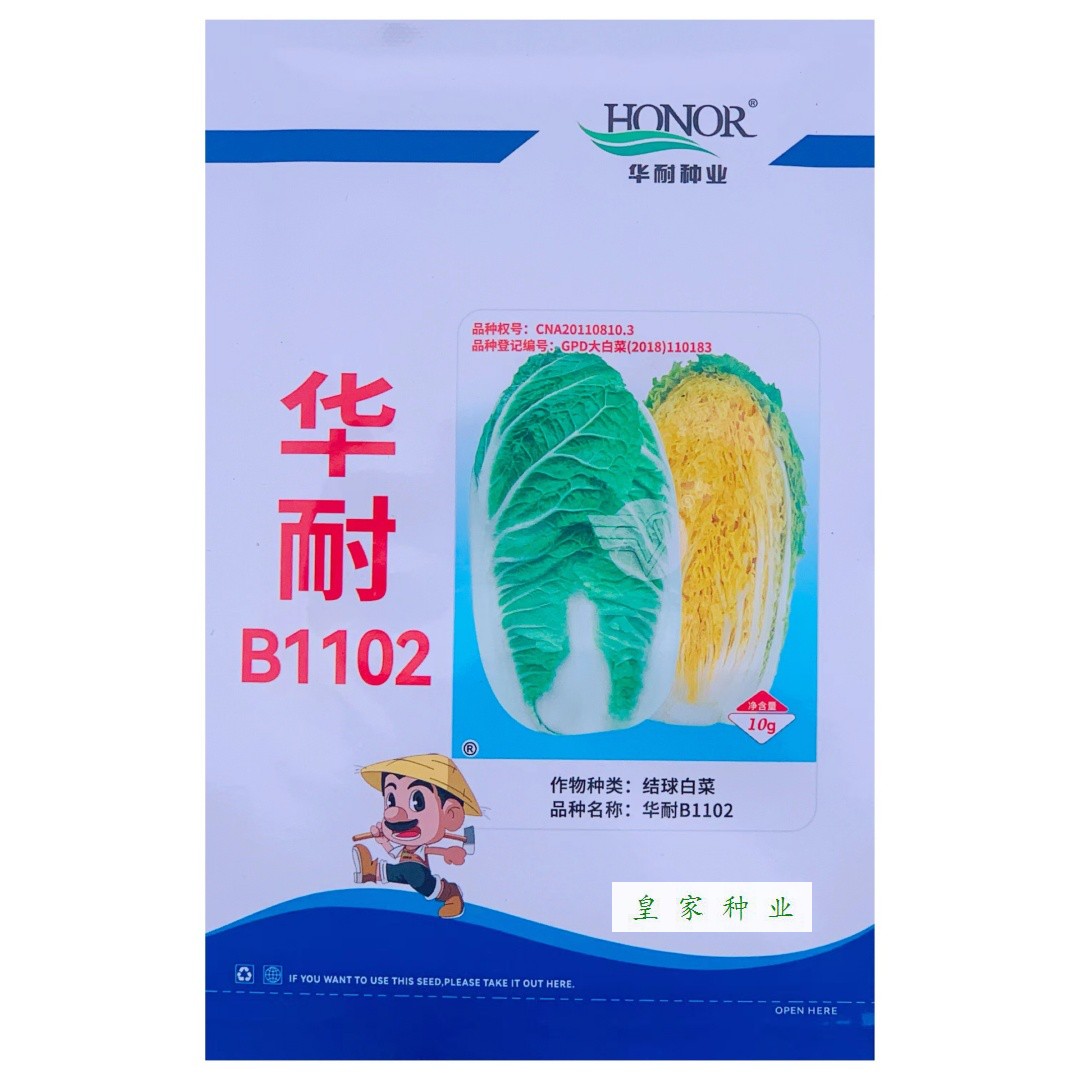 华耐华耐B1102白菜种子