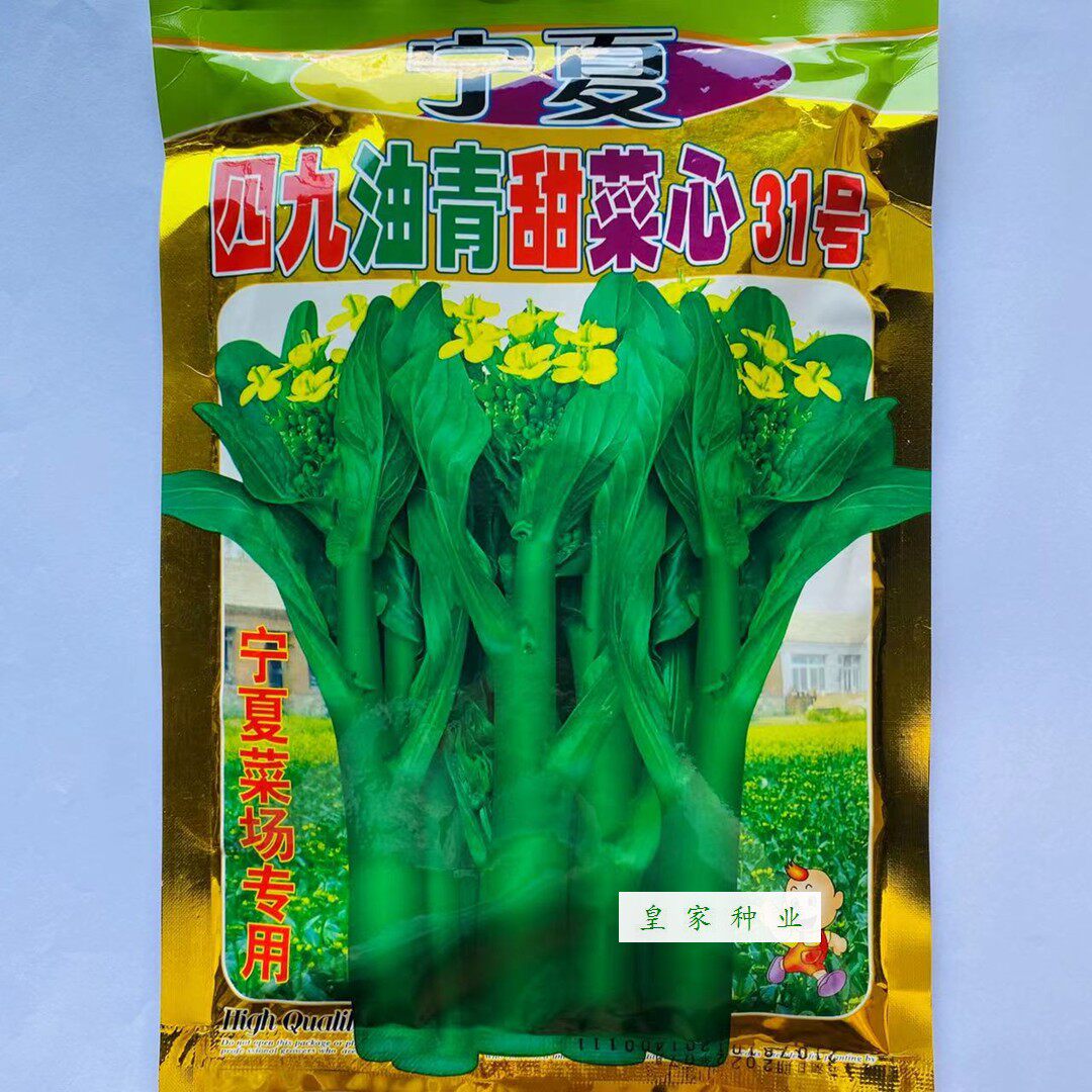 宁夏四九油青甜菜心31号种子油绿菜苔种籽四季菜心籽大田用种速生
