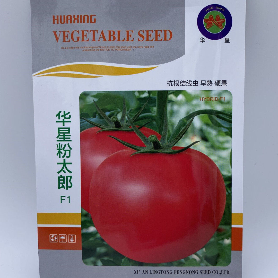 华星粉太郎番茄种子无限生长型粉红大果抗根线虫早熟无绿肩耐贮运