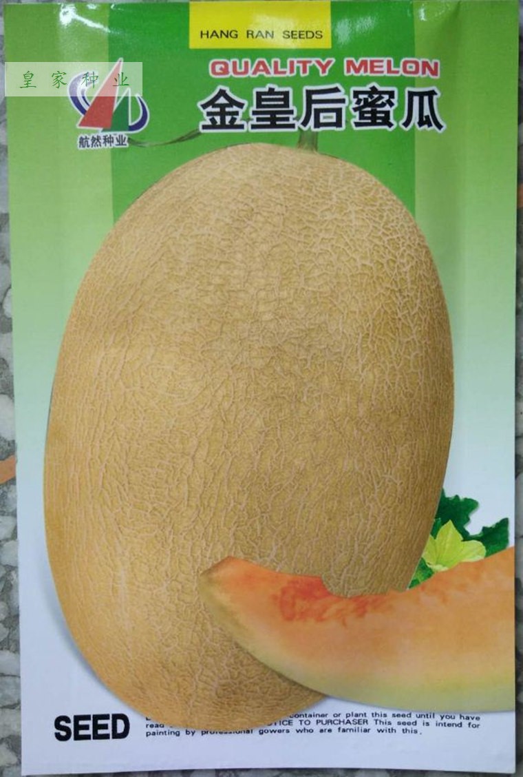 金皇后蜜瓜种子哈蜜瓜 香瓜种子香蜜王甜瓜种子 糖度18%网文甜瓜