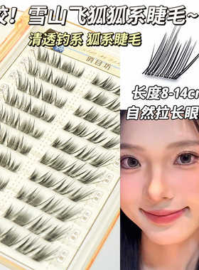 免胶雪山飞狐上睫毛懒人10排睫毛韩系女团分段式假睫毛清冷氛围感