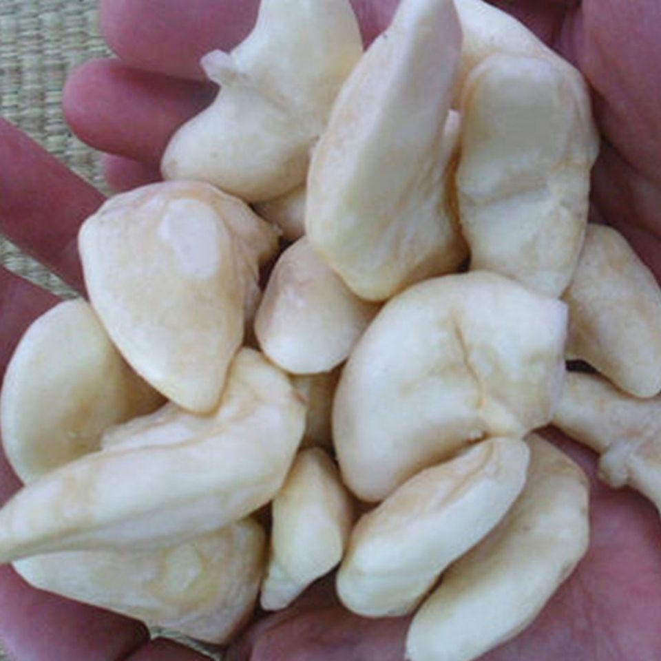 湖北特产菱角米鲜嫩现摘包邮