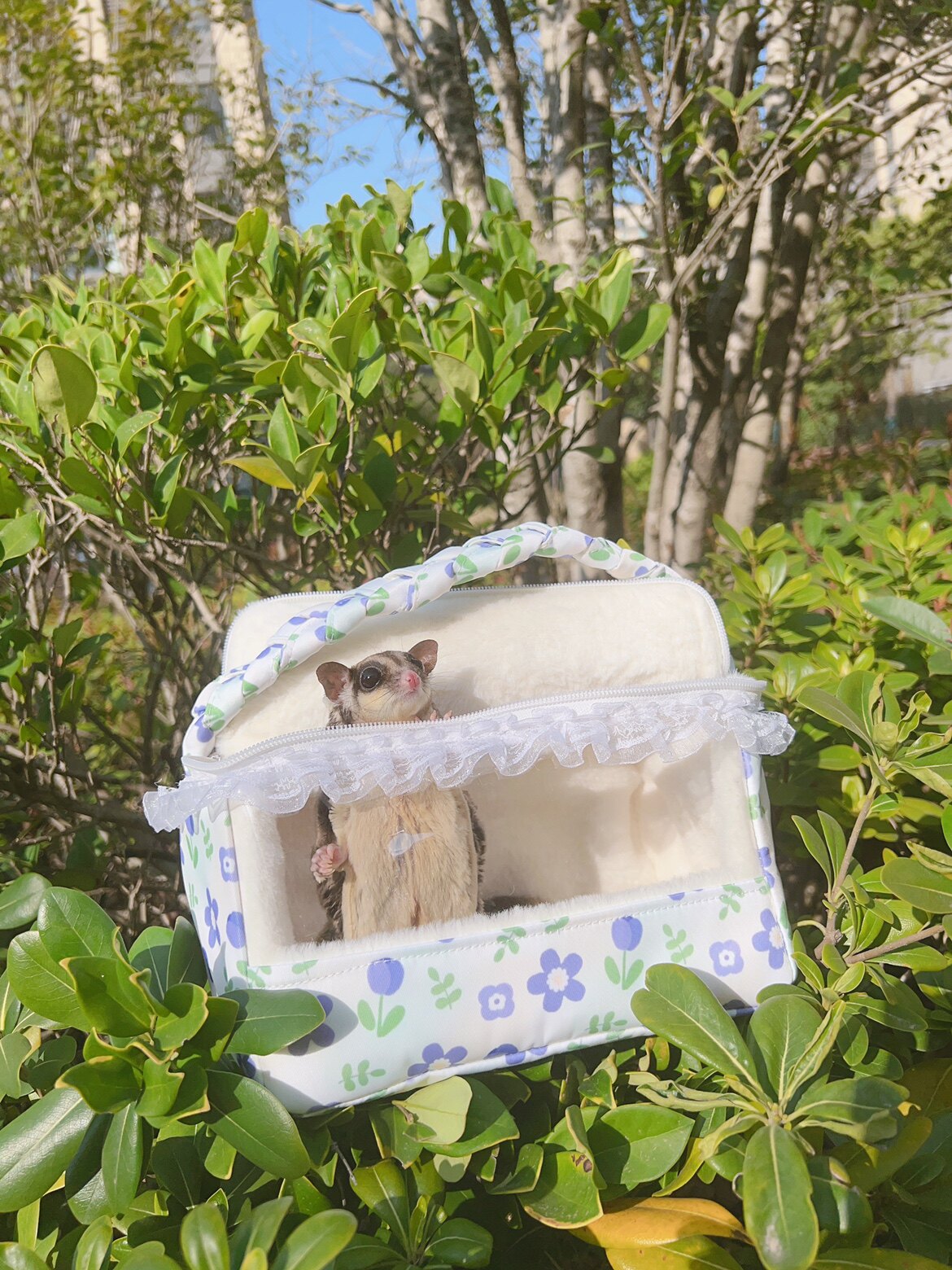 小宠蜜袋鼯鹦鹉仓鼠刺猬便携外带包仿兔毛四季款 可放加热包