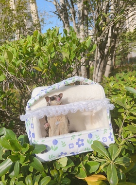 小宠蜜袋鼯鹦鹉仓鼠刺猬便携外带包仿兔毛四季款 可放加热包