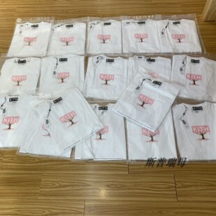 19SS 短袖 The 樱花限定 BoxLogo Hanami Tee KITH 日本 北京现货