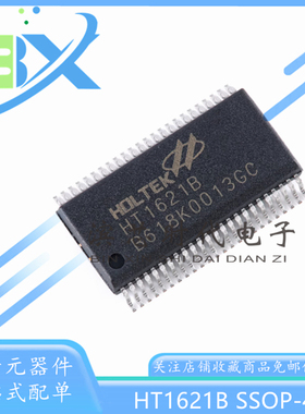 全新原装 HT1621B SSOP48/LQFP48 RAM映射32*4 LCD控制器芯片I/O