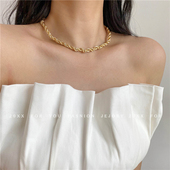 缠绕设计金属项链女夏2026年新款 项圈小众设计感高级锁骨链女颈链