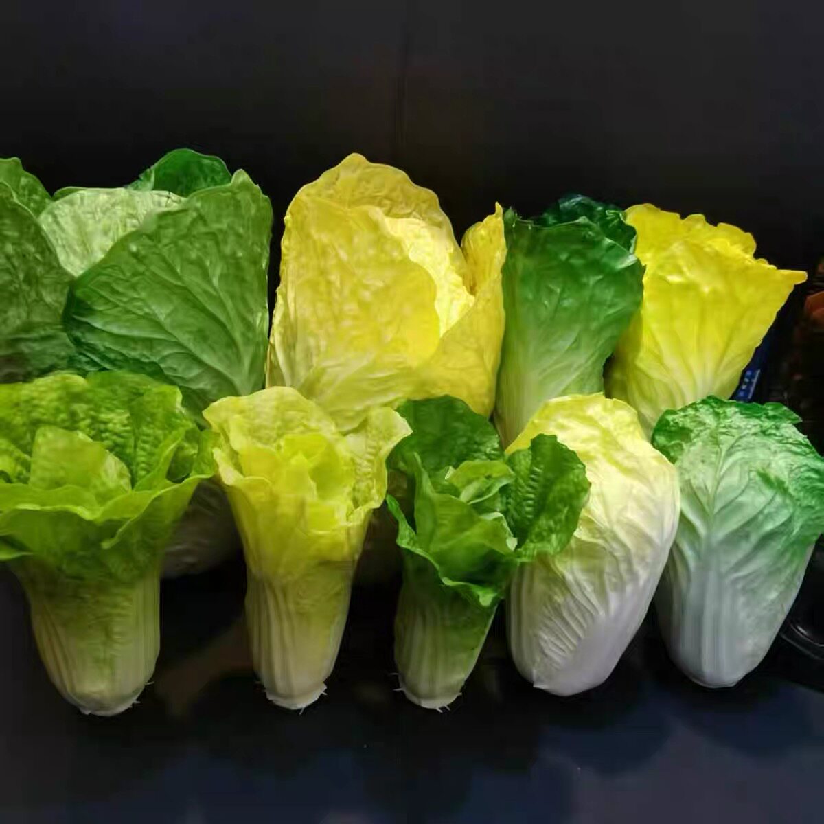 包邮仿真生菜模型小白菜模型白菜摆件展示道具
