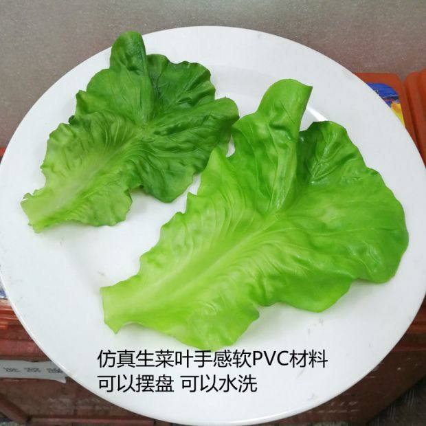 包邮仿真蔬菜食品模型假生菜叶可水洗垫盘软菜叶装饰摆件塑料小号