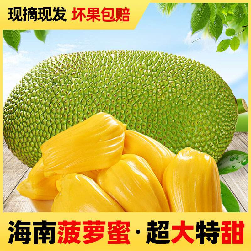 海南新鲜菠萝蜜水果进口当季水果25斤三亚黄肉干苞特级靓果非榴莲|ruв категории водной мясо/свежие фрукты и овощи/еда, свежие фрукты, 菠萝蜜 - от Buy2taobao.com для оказания профессиональной услуги покупки агента Taobao