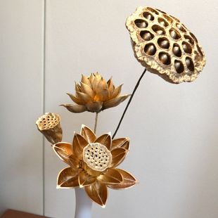 金色银色带籽干莲蓬干花干荷花真花年宵花真花天然客厅落地家居