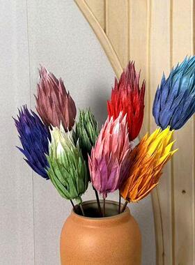 油画系列火焰菊干花花材